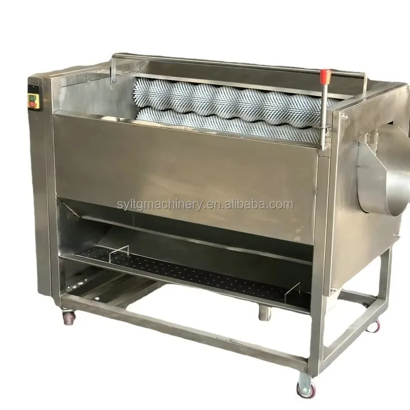 فرشاة الأسطوانة الفجل آلة تقشير البطاطس غسل آلة تقشير البطاطس الكهربائية الزنجبيل آلة غسل البطاطس وآلة تقشير #4