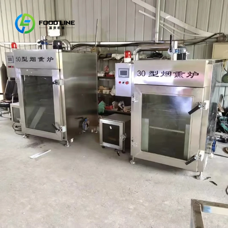 Customized Fish Salmon Smoking Meat Smoker Oven Commercial Smoke House Grilling Cooking Smoker BBQ Meat
