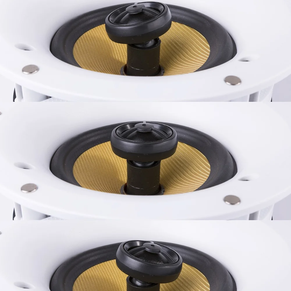 Power Dynamic 2-way indoor wireless speaker 100W 8 ohm built-in function