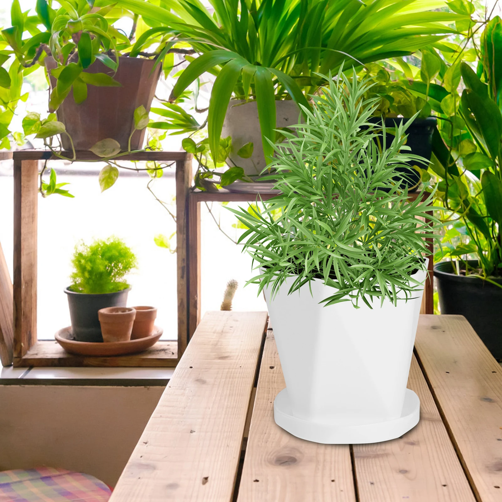 

6 Sets Plastic Flower Pot Dining Room Table Decor Small Outdoor Indoor Pots Planter
