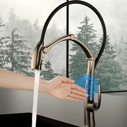 Digital Display Intelligent Pull-Out Kitchen Faucet Cold And Hot Sink Mixer Tap Gunmetal/Brushed Gold/Chrome