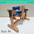 M Size Brown