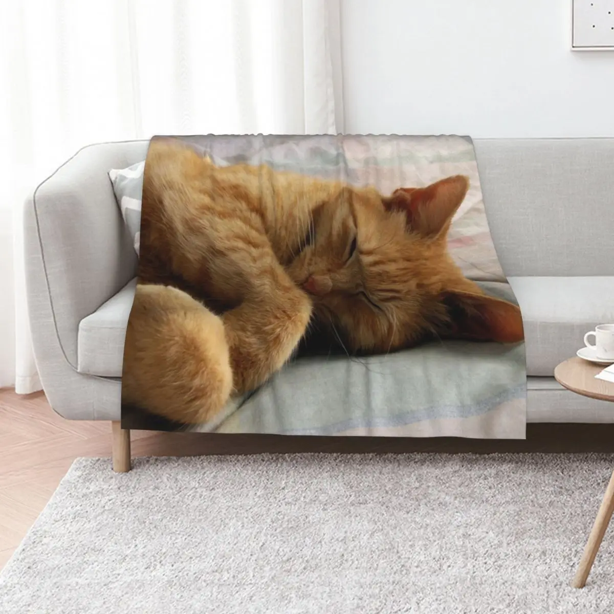 Ginger Cat Sleeping Throw Blanket Decorative Sofa Furrys Luxury Thicken for winter Plaid on the sofa wednesday Blankets
