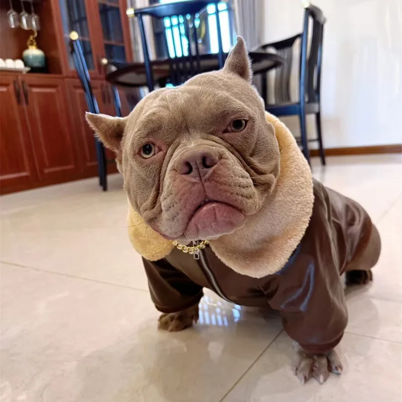 Pug Dog Coat Jacket Winter French Bulldog Clothes Schnauzer American Bully Pitbull Dog Costume Frenchies Dog Clothing Apparel