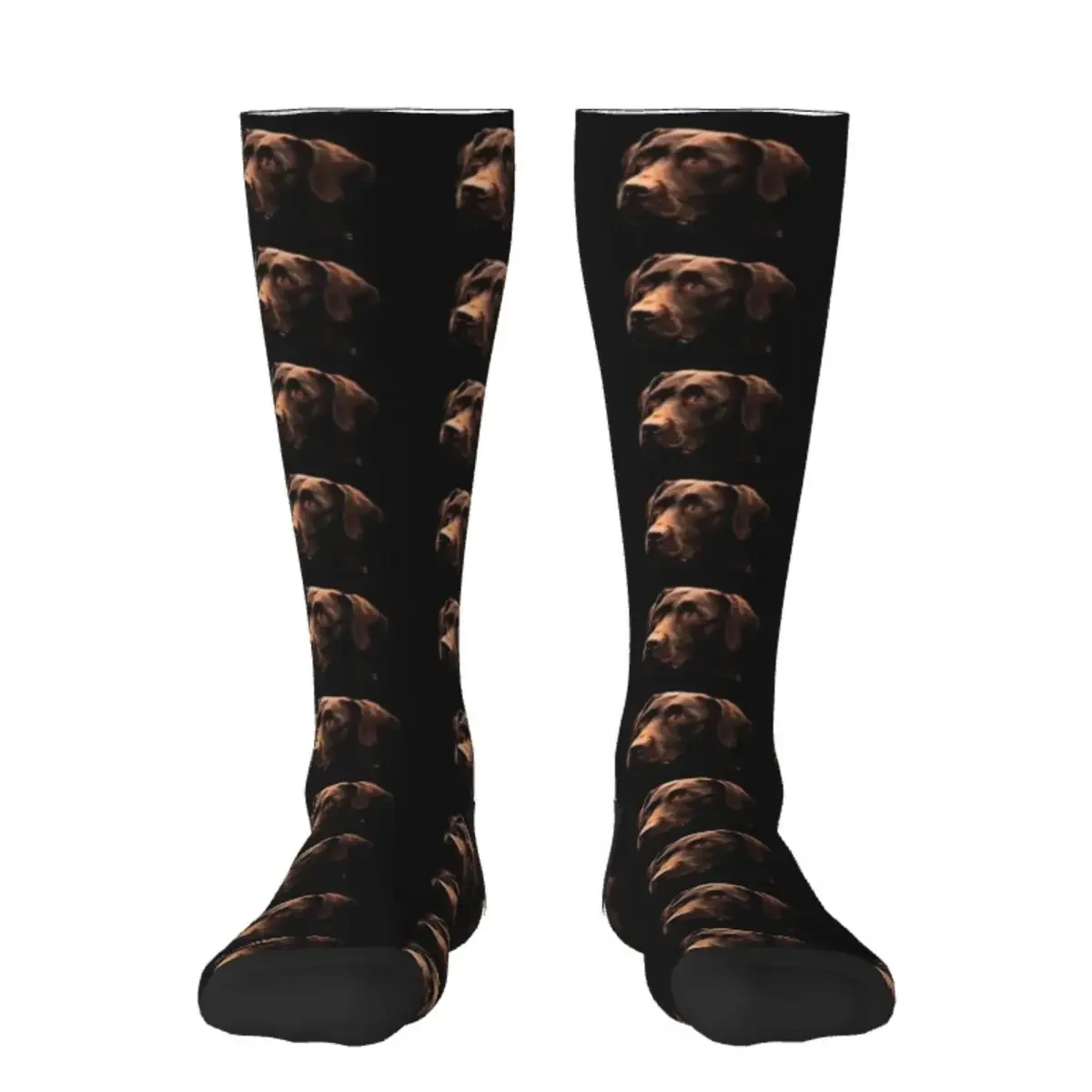 Chocolate Lab Socks Novelties Stockings man Socks For Men Women's