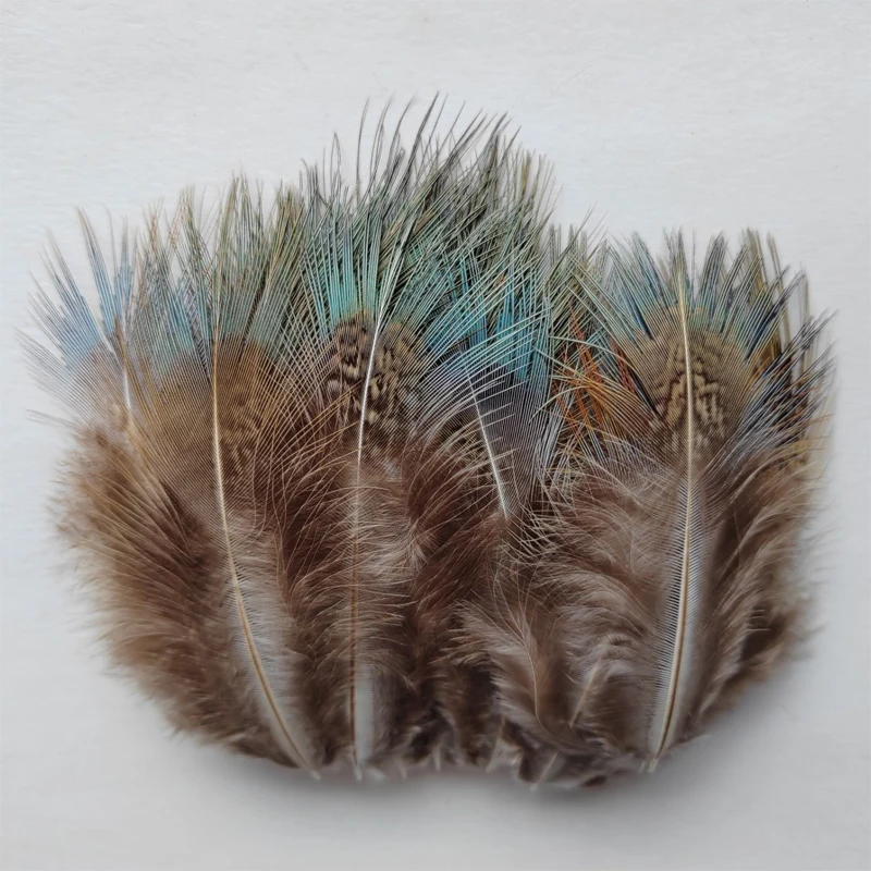 

Wholesale,200Pcs/Lot,7-10cm Nature Ringneck Pheasant Plumage Feathers,plumas de avestruz grandes,ganzenveren,tüy,перо пет