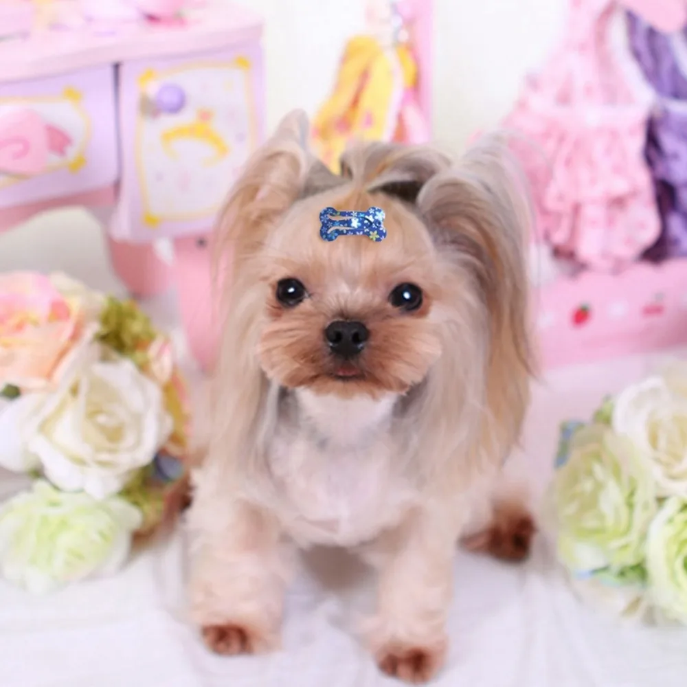 

Universal Durable Cute Mini Bone Shape Pet Headwear Pet Hair Accessories Hair Clip Dog Hairpin