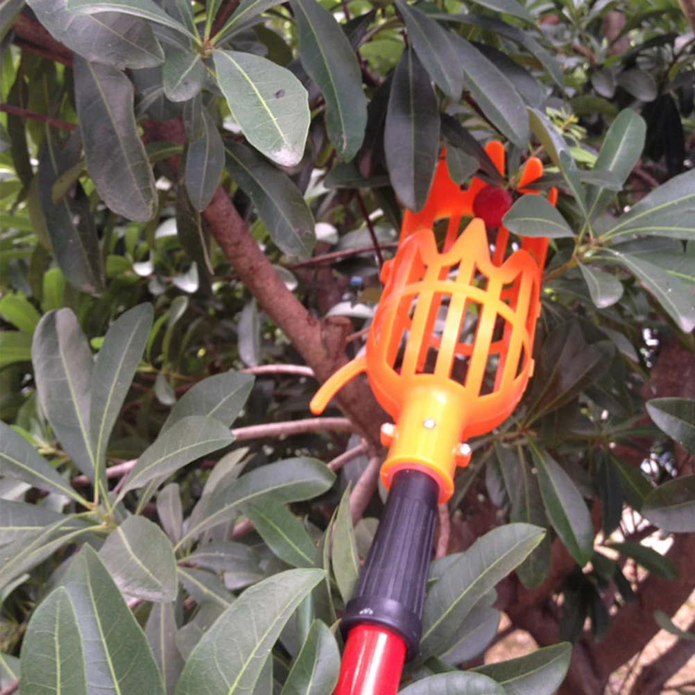 2 шт., сборщик фруктов, прочный инструмент для сбора урожая для Arbutus, груша, персик, без лестницы, легкий дизайн, длительное использование, садоводство