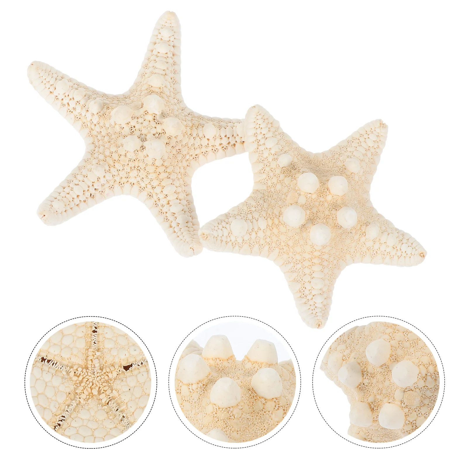 

2Pcs Sea Star Craft Charms Set Lightweight Decor for DIY Handicraft Aquarium Ornament Beach Scene Layout Natural Material