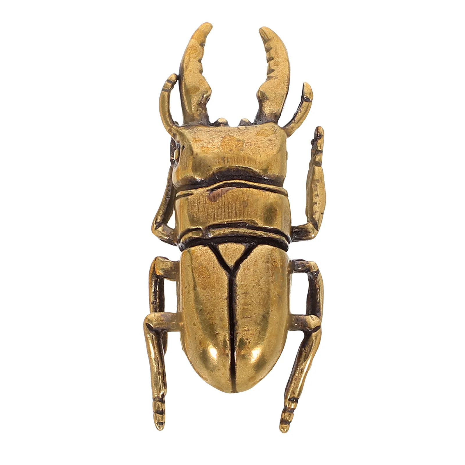 

Brass Beetle Cabinet Drawer Pull Handles Decorative Insect Knobs Screws Dresser Closet Kitchen Furniture Hardware