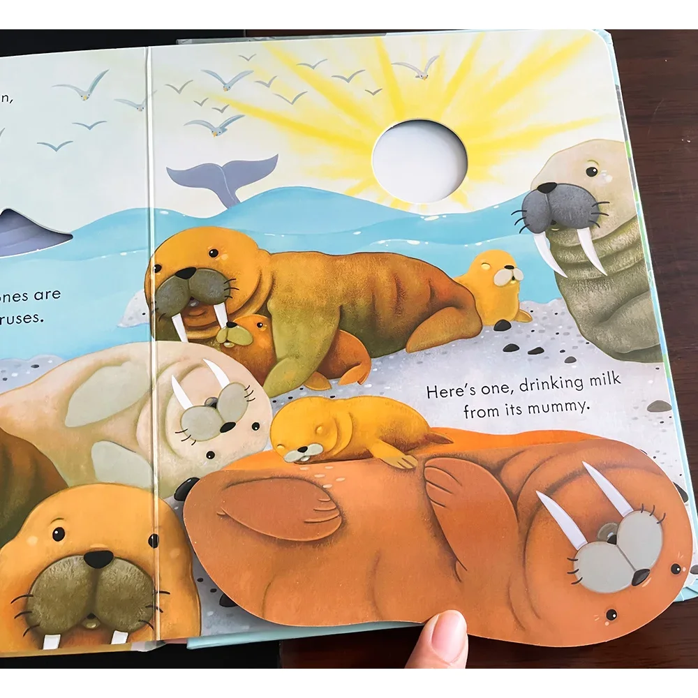 Usborne Peep Inside The Seashore ثلاثية الأبعاد رفرف كتاب صور مونتيسوري التعليمية الإنجليزية كتب للأطفال الطفل القراءة وقت النوم