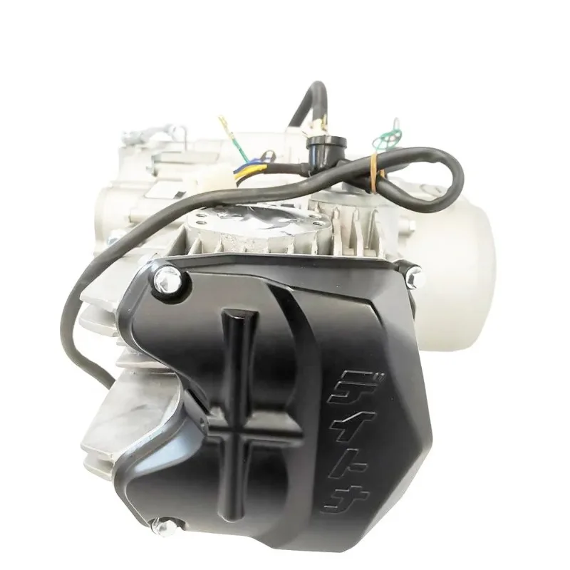 

2025Daytona Anima 190 Electric Start Engine 4 Valve 4 Stroke DT190cc Engines For Chinese Pit Dirt Bike Motorcycle Sample Availab