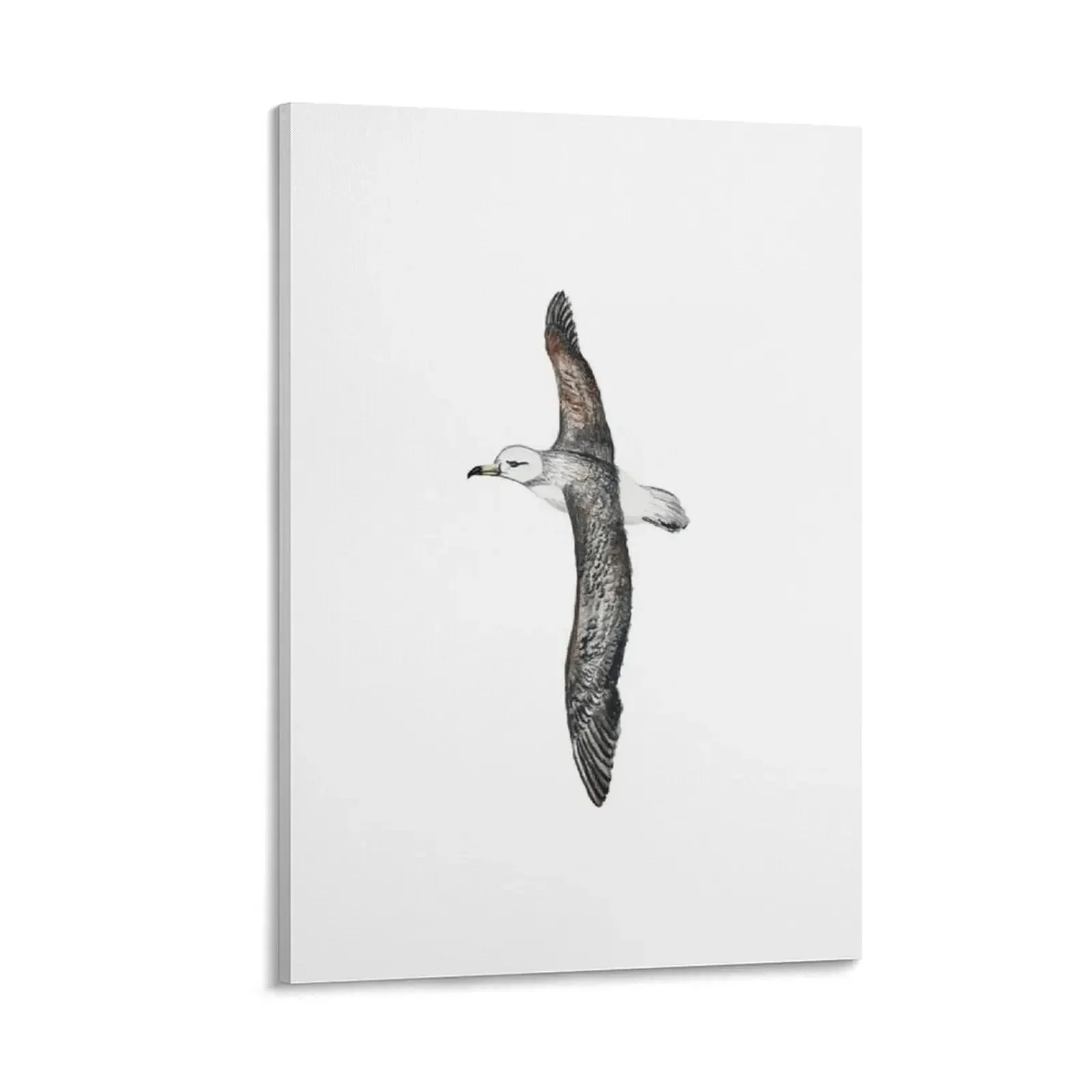 

Albatross Watercolor Drawing Canvas Painting wallpapers home decor Decoration bedroom posters for room