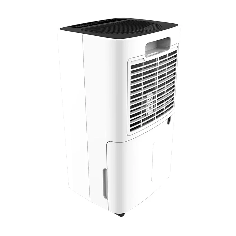 10L Electric Room Dehumidifier Compressor Portable Air Dehumidifier 12L Home Desiccant Hepa Dehumidifier With Air Purifier Home