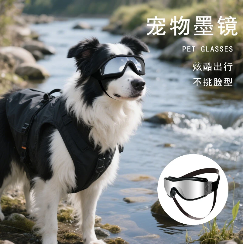 Dog UV Sunglasses 5