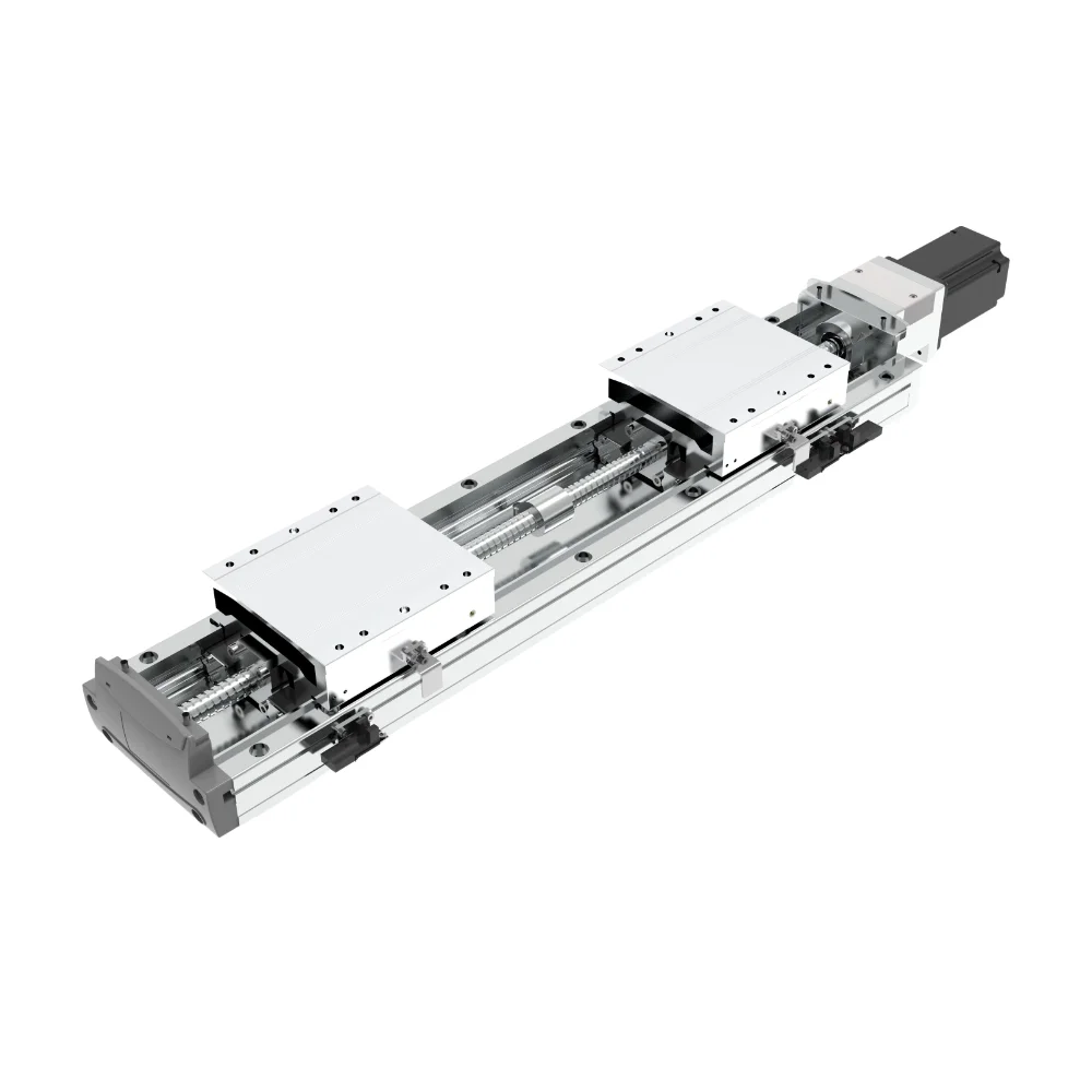 Wholesale High Precision C7 Synchronous Dual-Shaft Anti-Backlash Linear Actuator Motor Bearing Aluminum Alloy Linear Motion