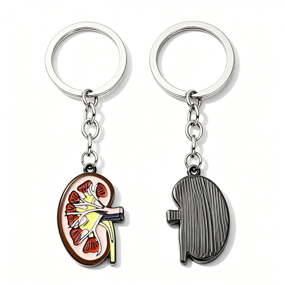 Cute Kidney Enamel Keychain Colorful Human Kidney Anatomy Keychain Keepsake Gift For Kidney Specialists, Doctors And Colleagues
