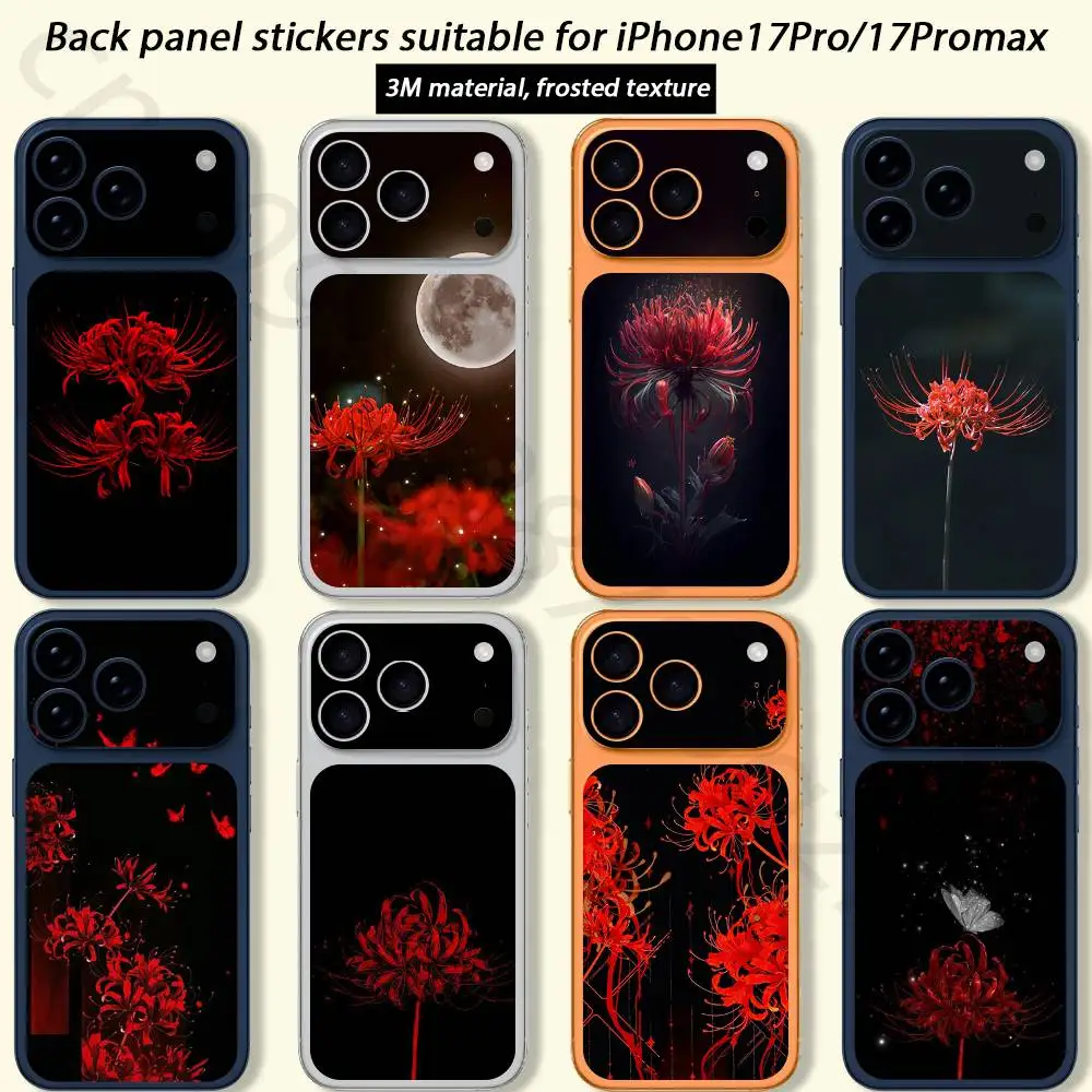 

Rainbow Illustration Art TICKET Decal Skin Wrap for iPhone 17 Pro/Pro max Protective Film for Back, Frame, Camera