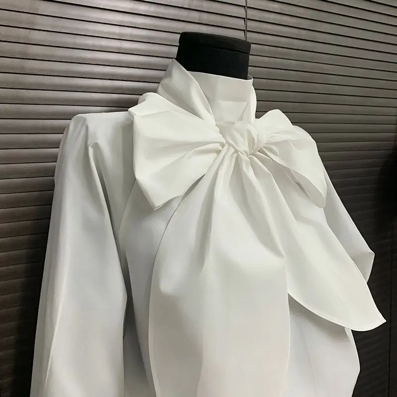 Workplace women's bow shirt 2026 spring new product meat cover and thin shoulder sleeve  long sleeve versatile top