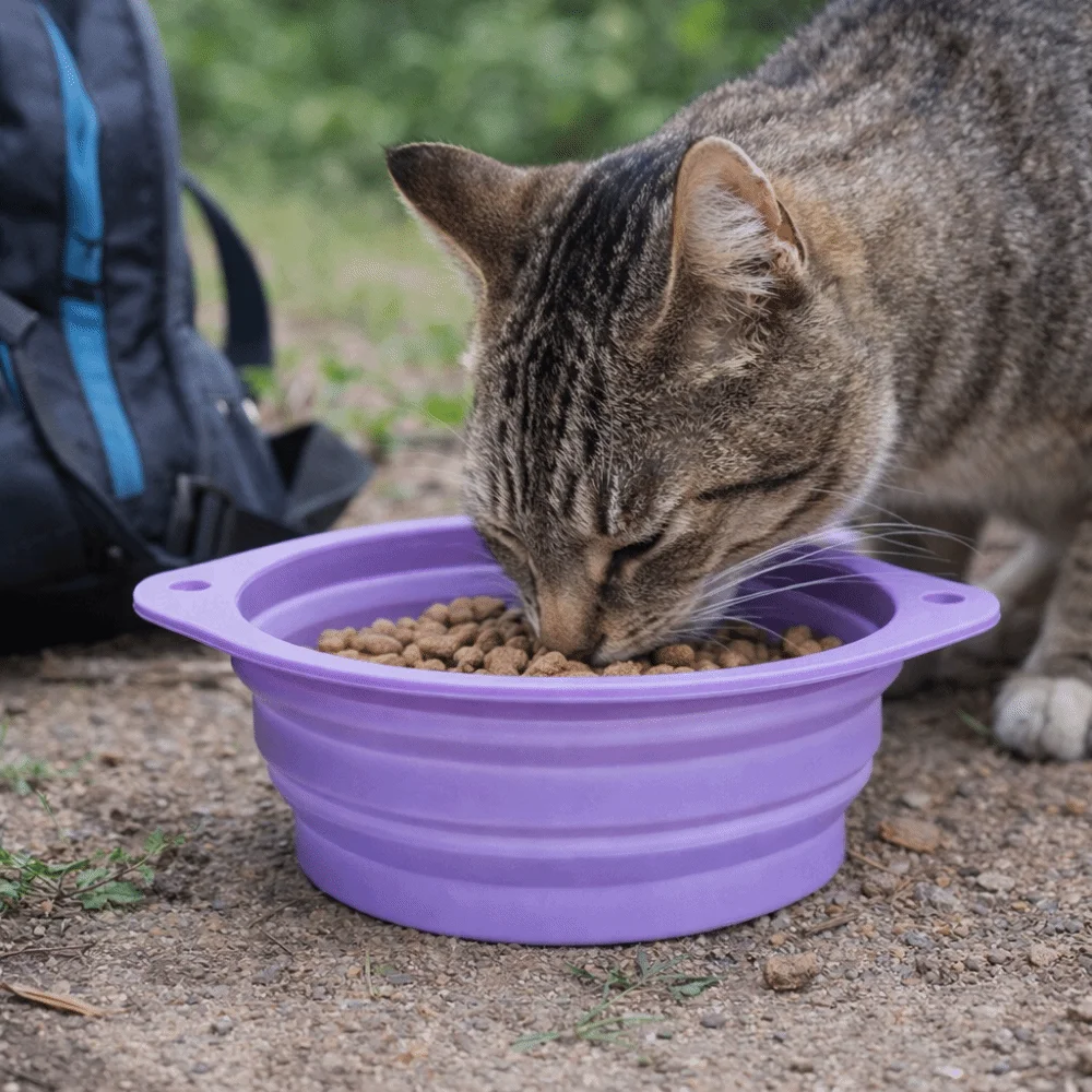 Large Capacity Foldable Silicone Bowl Double Ear Buckle Leak Proof Water Food Bowl Macaron Color Anti-slip Travel Feeding Bowl