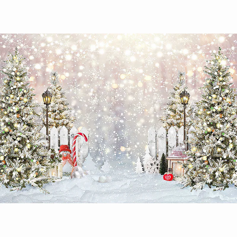 Christmas Village cancello in legno fotografia digitale sfondo Prop Snow Party Celebration Studio sfondo DJ-01