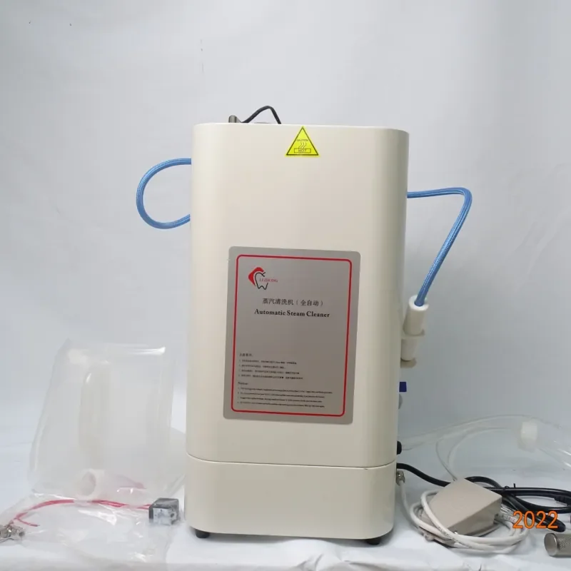 Lab Equipment 2200W Steam Cleaner Electric Lab Steam Cleaner Fully Automatic Steam Cleaner