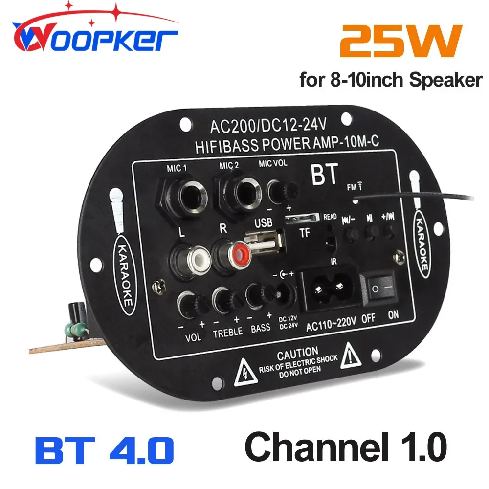 Woopker Digital Bluetooth Stereo Amplifier Board Subwoofer Dual Microphone Karaoke 110V 220V 12V 24V for Car RVs