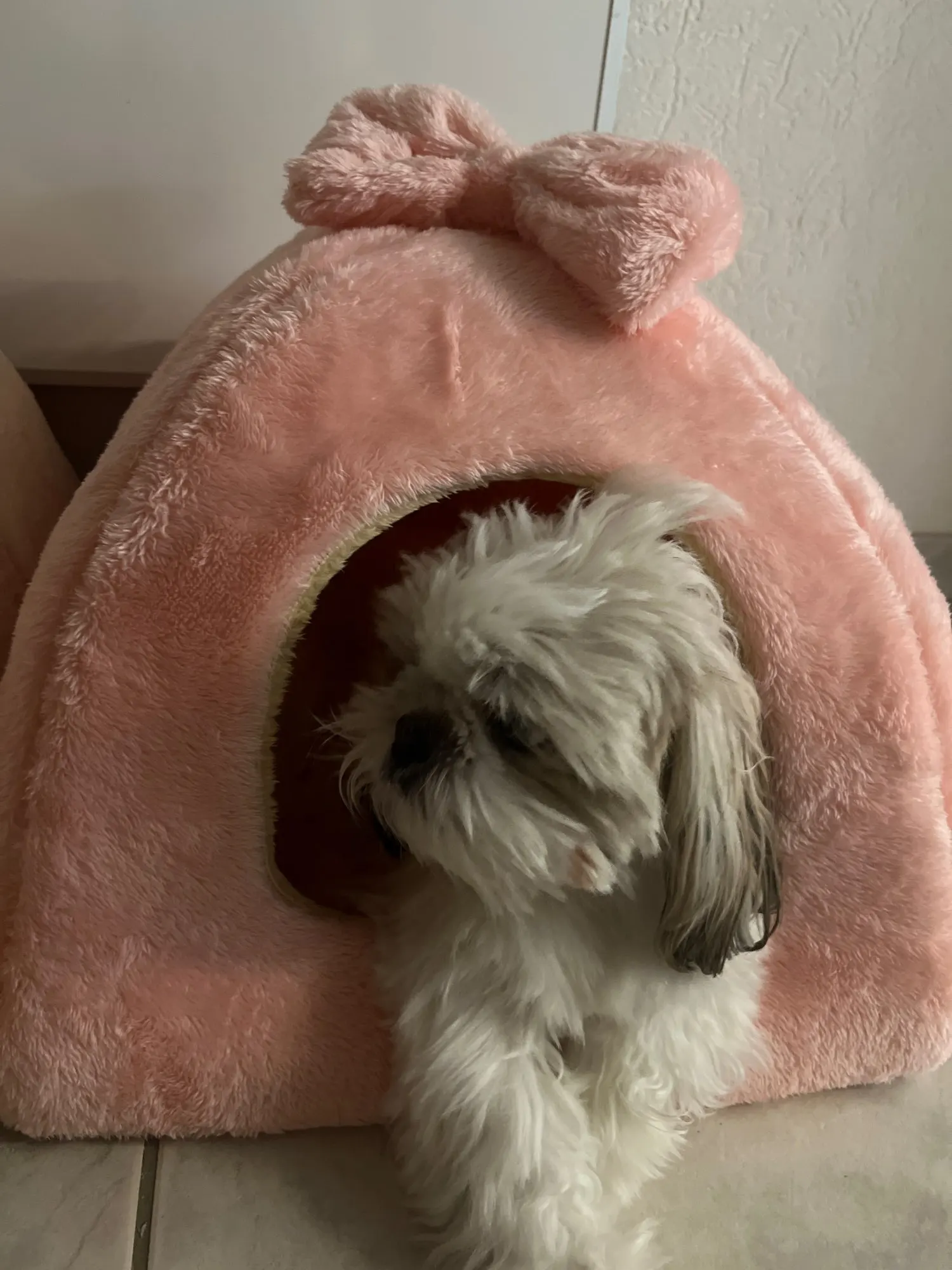 Winter Warme Haustier Hund Haus Katze Bett Matte Abnehmbare Zwinger Nest Haustier Korb Weiche Bequeme Kätzchen Schlafen Haustier Nest Katzen Produkt – Detail 12