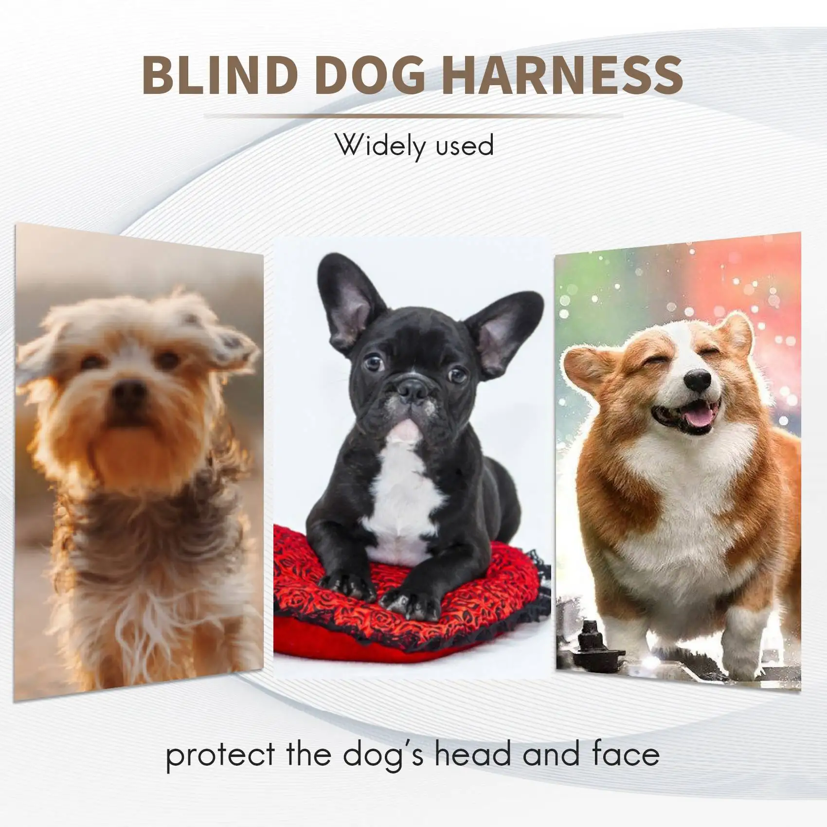 A76X-Blind Dog Harness Guiding Device, Halo Prevent Collision & Build Confidence Blind Dog Accessories