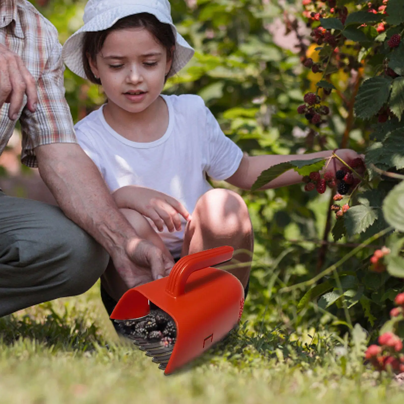 Berry Picker Portable Berry Picker Cherry Picker With Ergonomic Handle And Comb Blueberry Collection Harvester fruit harvester