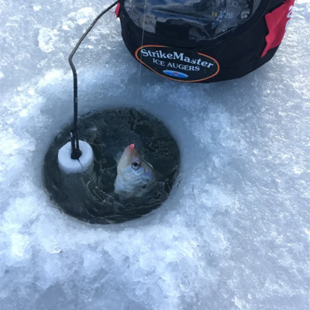 Hayabusa Elite TG anzuelos jig head para perca crappie bluegill - imagen 5