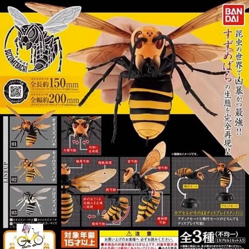 BANDAI Original Japan Gashapon Cute Simulation Insect Figure Queen Bee Hornet Kawaii Capsule Toys Anime Figurine Gift