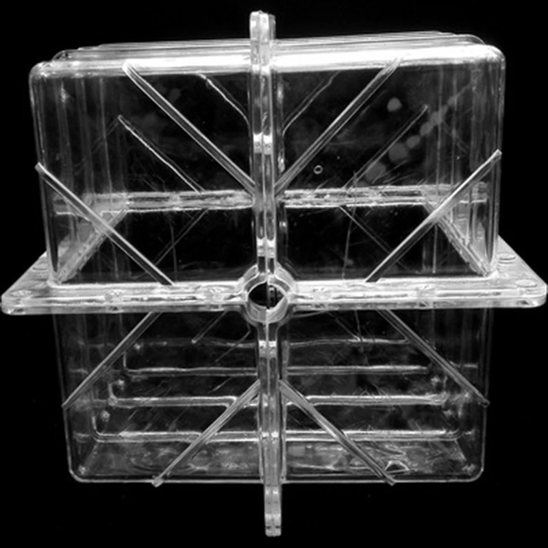 Stampo per coltivazione di anguria quadrato a forma di cuore in plastica di grandi dimensioni Stampo per modellare la crescita della frutta trasparente