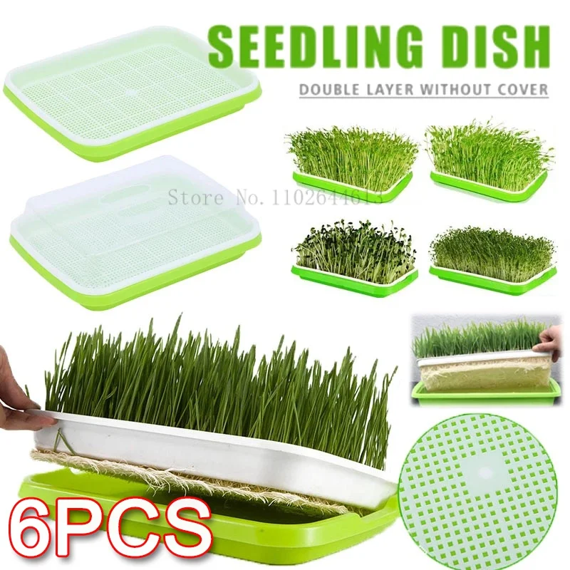 

6set Sprout Dish Seedling dish Planting dish Soilless culture hydroponic