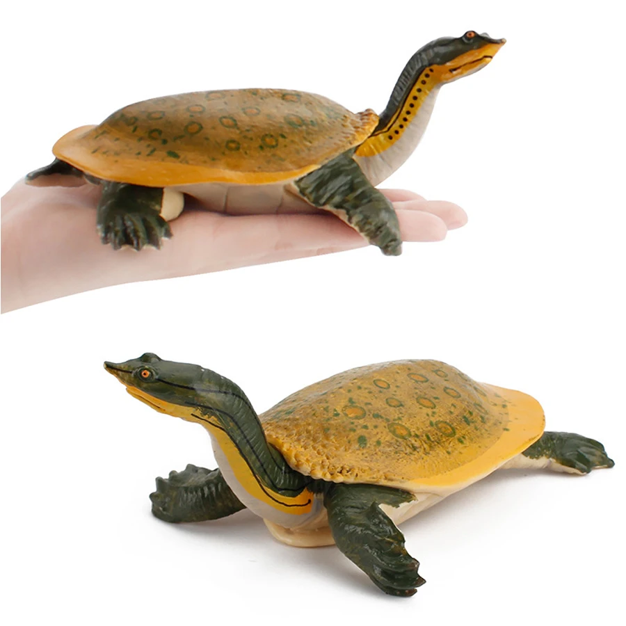 Reptiles de criaturas marinas oceánicas realistas, modelos de tortuga de ciclo de crecimiento, estatuilla, juguete educativo, adornos para pasteles,