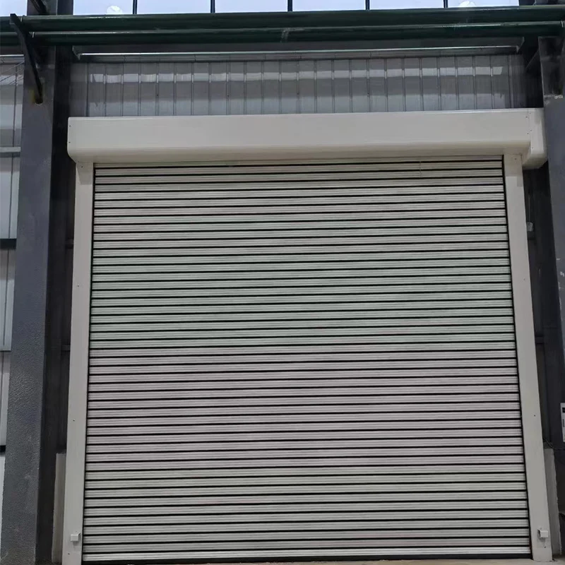 Customization Factory Price Blast Resistance Roller Shutter Doors For High-security Government & Research Buildings