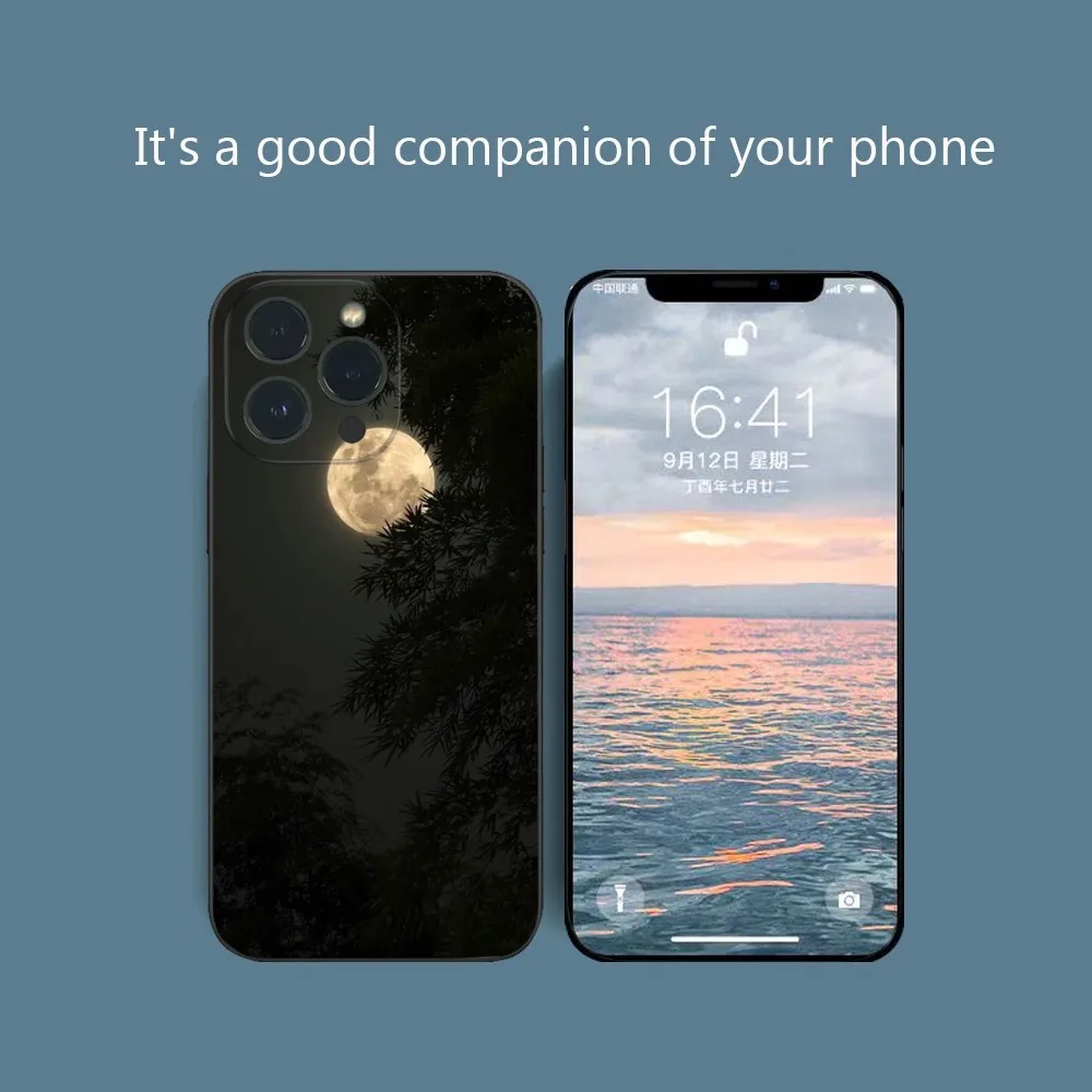 

Beautiful Scenery Phone Case For IPhone16 15 14 13 12 Mini 11 Pro XS Max X XR SE5 6 7 8 Plus Soft Silicone Cover