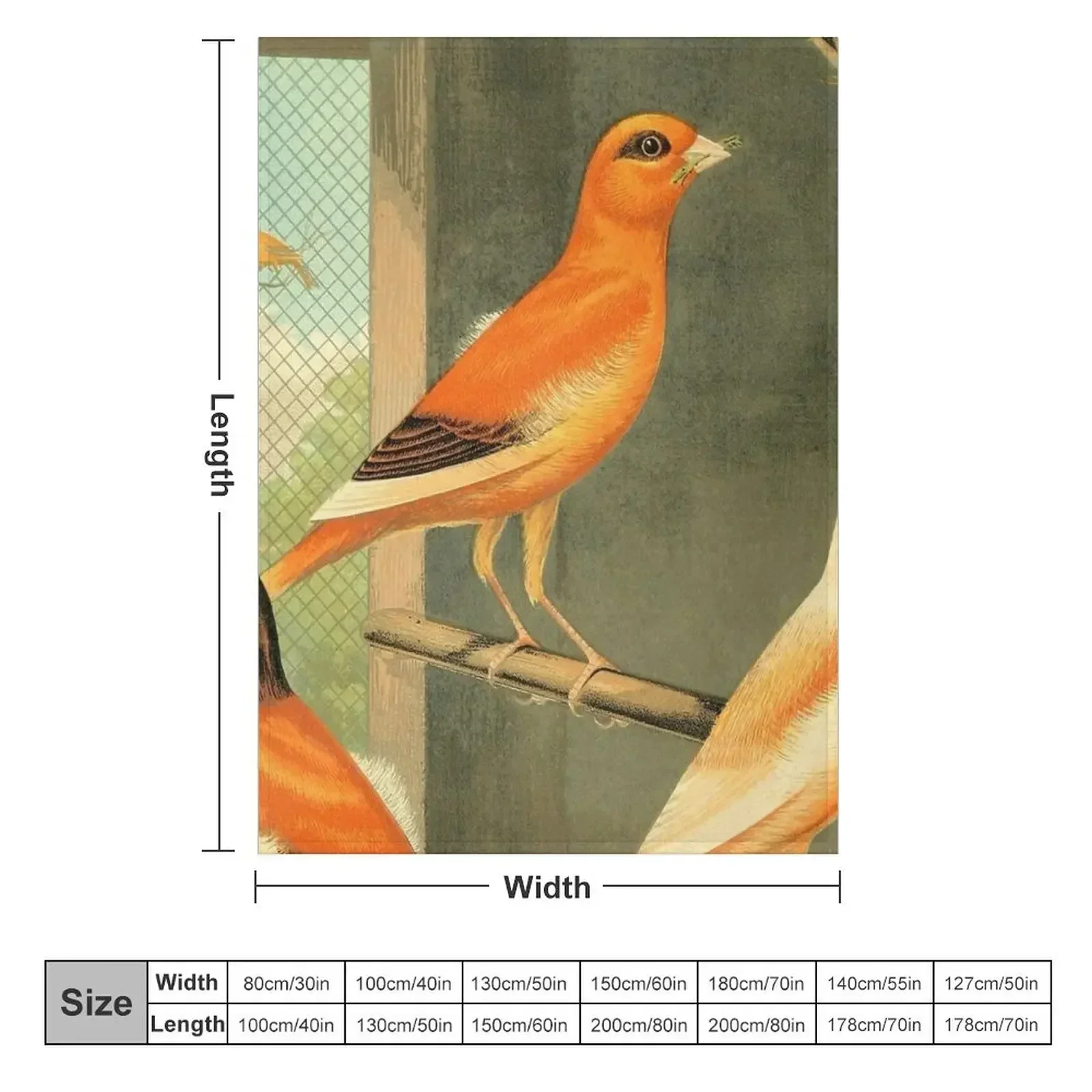 Norwich Canaries Cage Birds Art Prints Old Painting Antique Drawing Throw Blanket funny gift for sofa Travel Polar Blankets