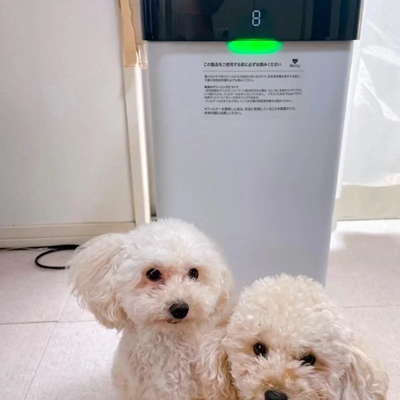 Indoor Household Air Purifiers for Removes Particles Pet Allergies Smoke Dust