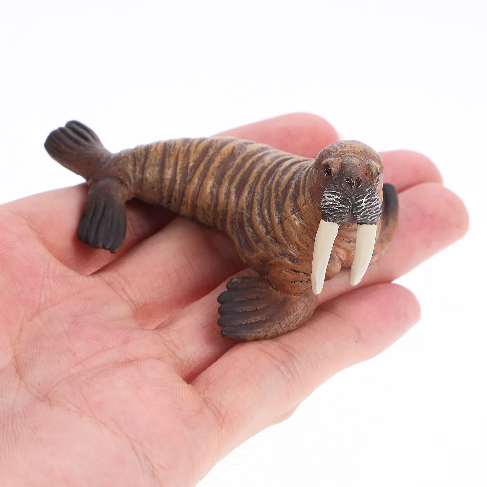 

1Set Simulation Sea Animal Realistic Sea Lion and Walrus Small Marine Animal Cognitive Ornament Home Office Decor