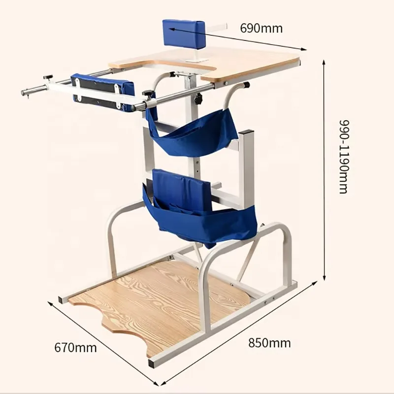 Multifunctional height adjustable adult lower limb training stand