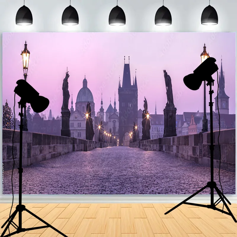 Décor de photographie de paysage européen, palais, tour Eiffel, pont, décoration intérieure, accessoires de fond de studio photo WD-02