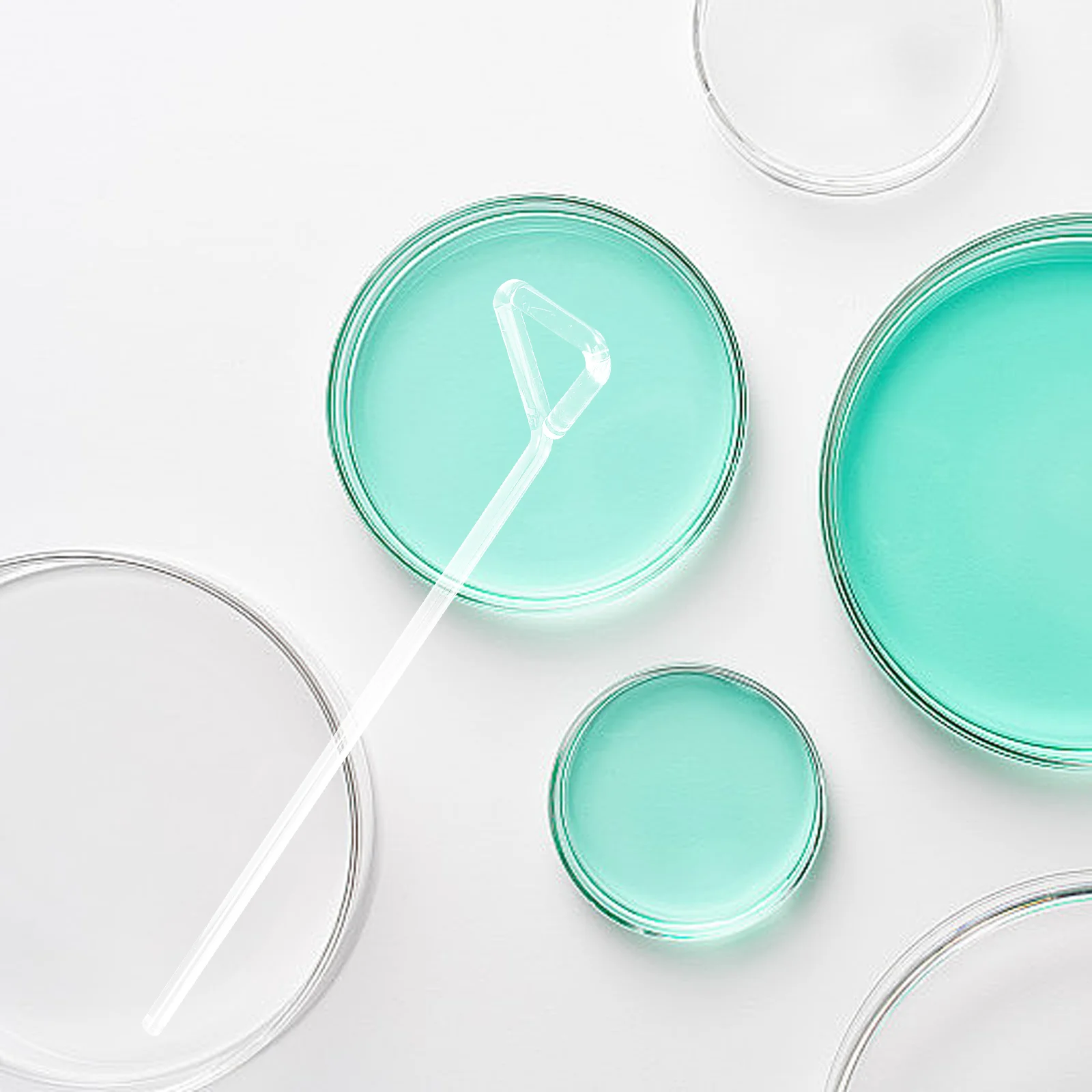 

4 Pcs Coating Rod Tool Cell Spreader Sticks Laboratory Labs Tools Equipment Glass Spreaders Chemistry Gifts