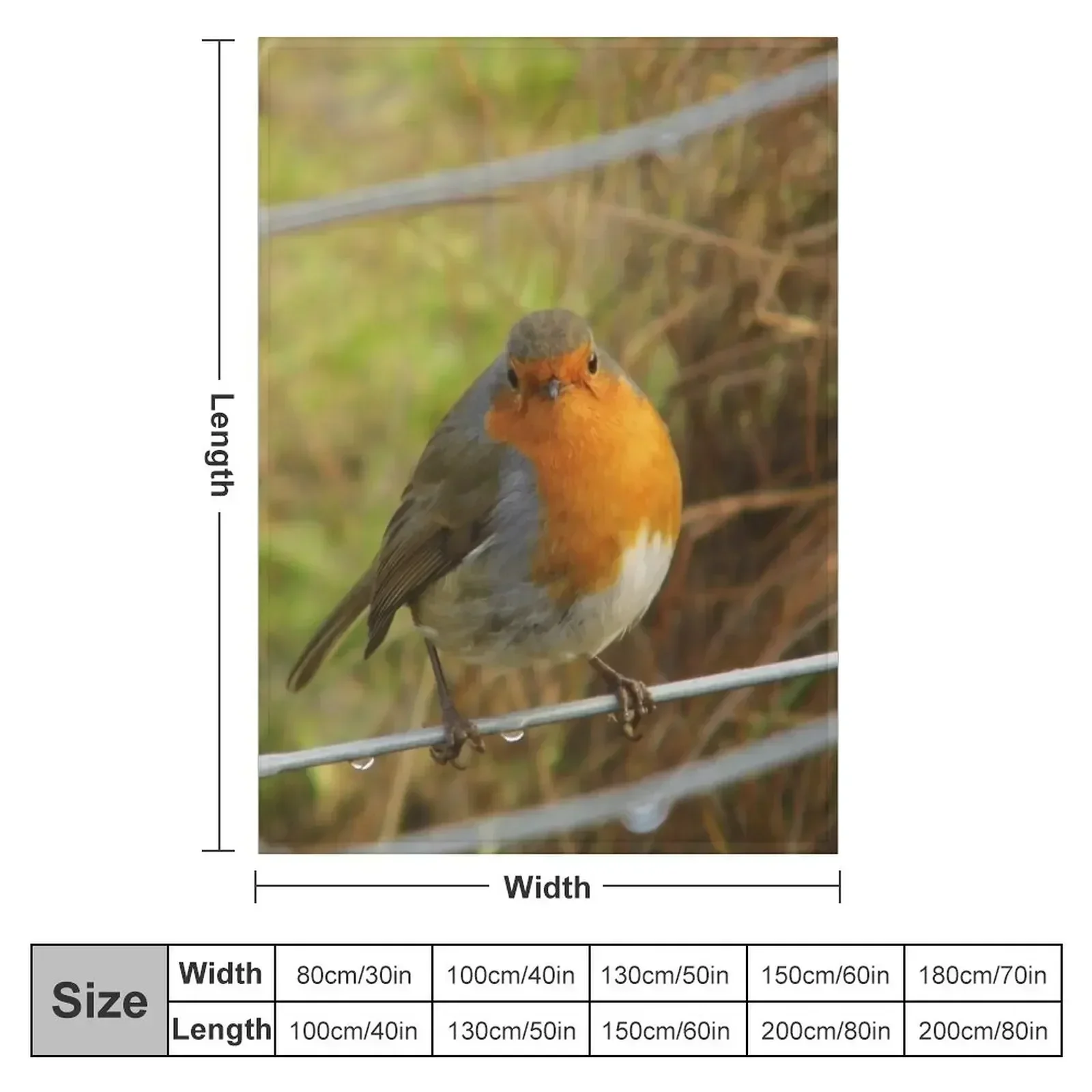 Cute Robin Bird On a Fence Photograph Throw Blanket Tourist Soft Plaid Kid'S wednesday Camping Moving Blankets