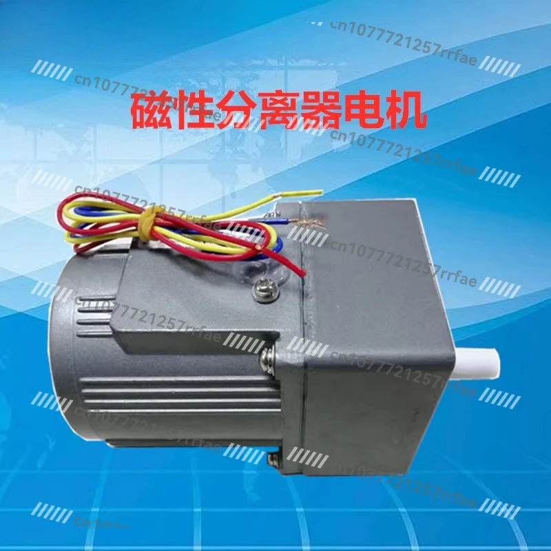 Special Motor for Magnetic Separator of Grinding Machine (380V/220V)