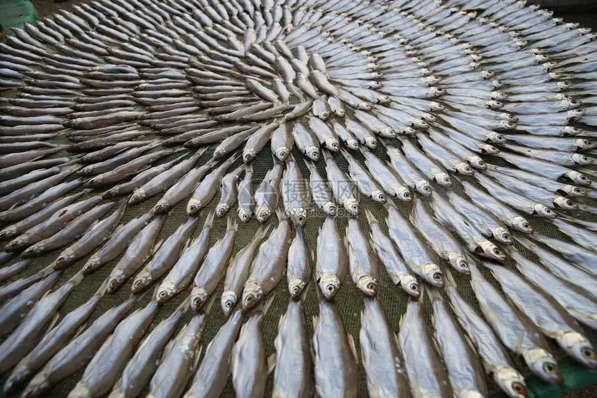 

4Pcs 2.6 Inch Metal Beadlock Wheel Rim Hub for 1/8 1/10 RC Crawler Car TRXS TRX4 Axial SCX10 Wraith RR10 Capra