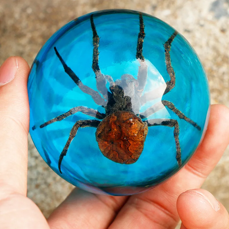 creative real insect specimens transparent resin hemispherical ornaments crafts big spider scorpion specimens