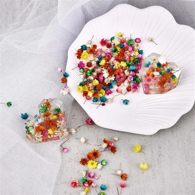 1 Pack 5g Natural Herbs Mini Dried Flowers For Epoxy Resin DIY Art Craft Candle Jewellery Making Glass Fill Art Craft Decor