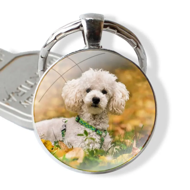 Keychain Handmade Glass Cabochon Key Ring Holder Pendant Key Chains Poodle dog Fashion Design Creative Cartoon