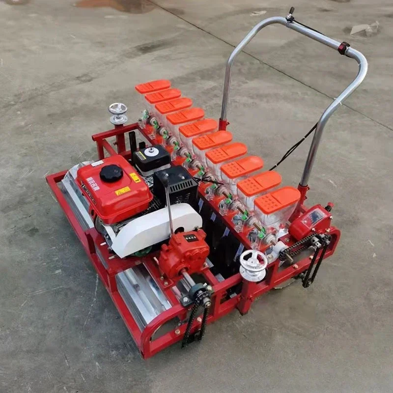 Snow red broccoli flower seeder, mustard carrot seeder